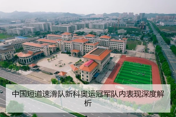 中国短道速滑队新科奥运冠军队内表现深度解析